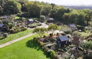 Lire la suite à propos de l’article Objectif Image 95 expose des photos aux Jardins familiaux du Trou du Loup, à Soisy-sous-Montmorency, le samedi 9 août 2025, sur le thème de la biodiversité