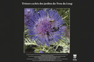 Lire la suite à propos de l’article Exposition Biodiversité au Val Ombreux